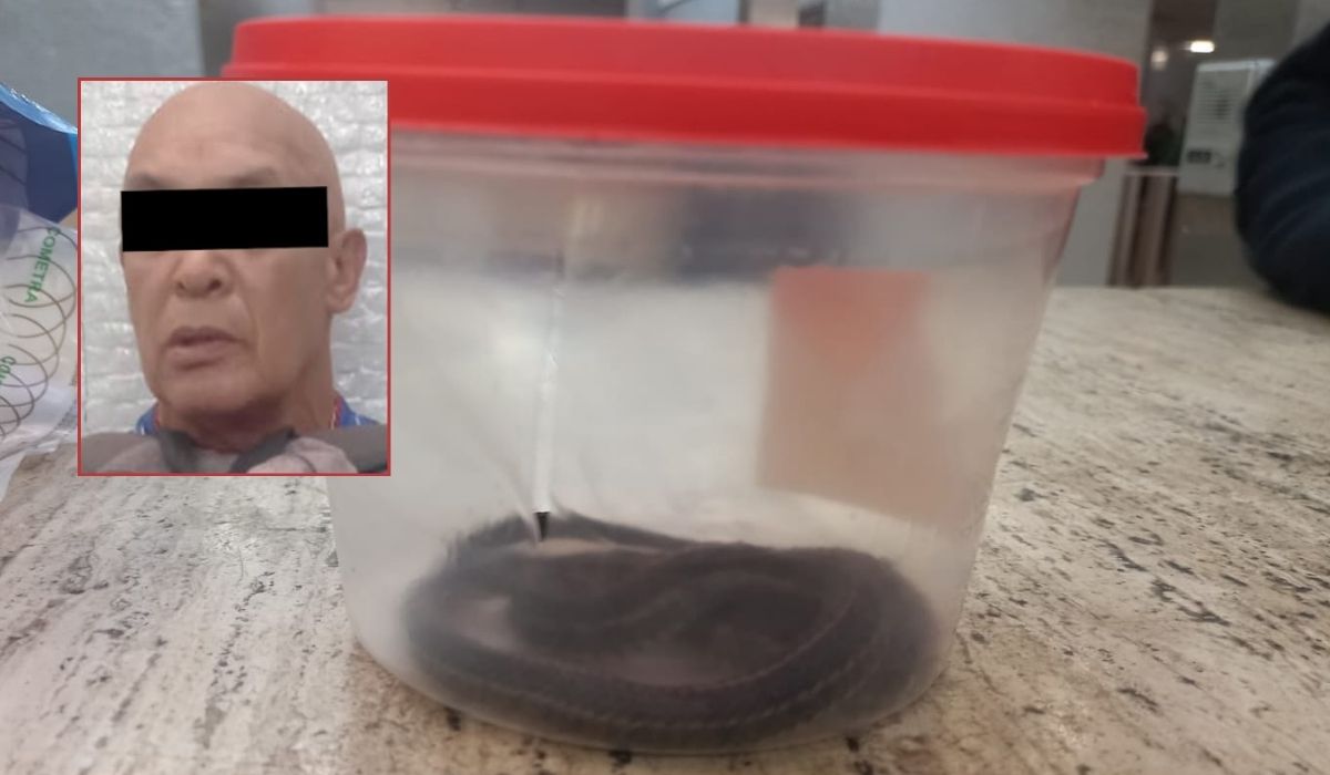 Detienen a hombre con serpiente de agua en el Metro de la CDMX