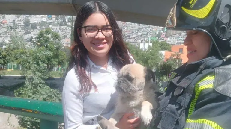 Bomberos rescatan a perrito atrapado en acueducto en la Gustavo A. Madero