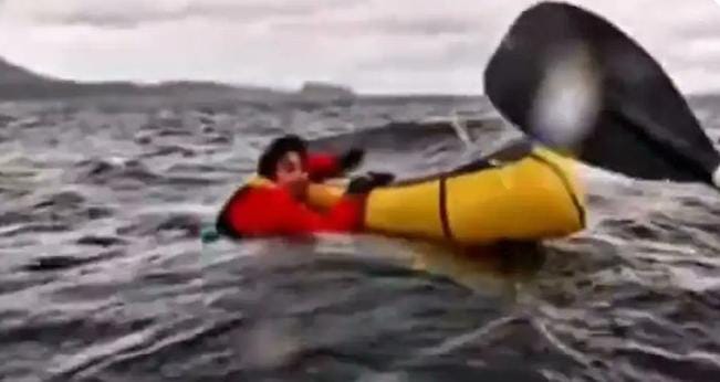 JOVEN ESCAPA DE UNA BALLENA EN EL ESTRECHO DE MAGALLANES, CHILE