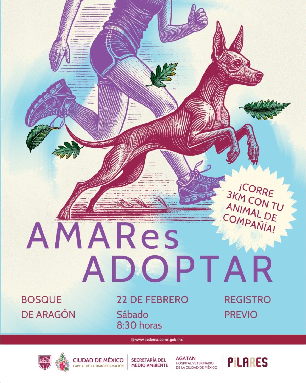 CORRE POR UNA BUENA CAUSA: LA CARRERA “AMAR ES ADOPTAR” BUSCA HOGARES PARA ANIMALES