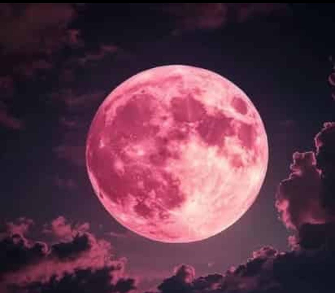 PREPÁRATE PARA LA LUNA DE FRESA MÁS BAJA EN CASI 20 AÑOS