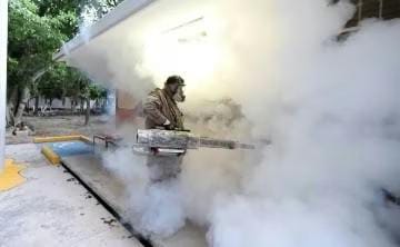 ALERTA POR DENGUE: MÉXICO SUPERA LOS 3,800 CASOS EN 2025