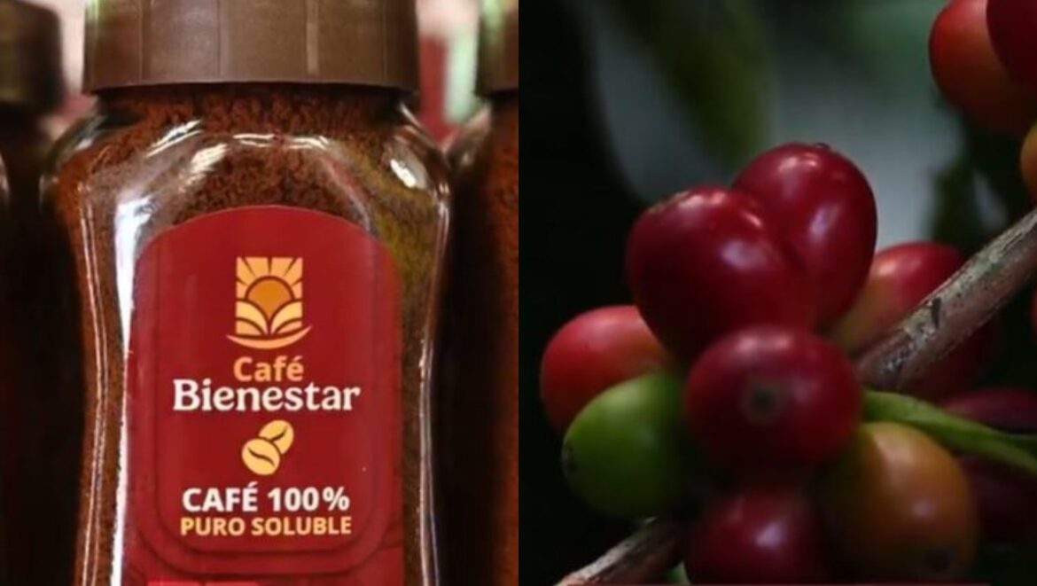 Presentan el Café Bienestar: origen, precio y su llegada a las tiendas del país