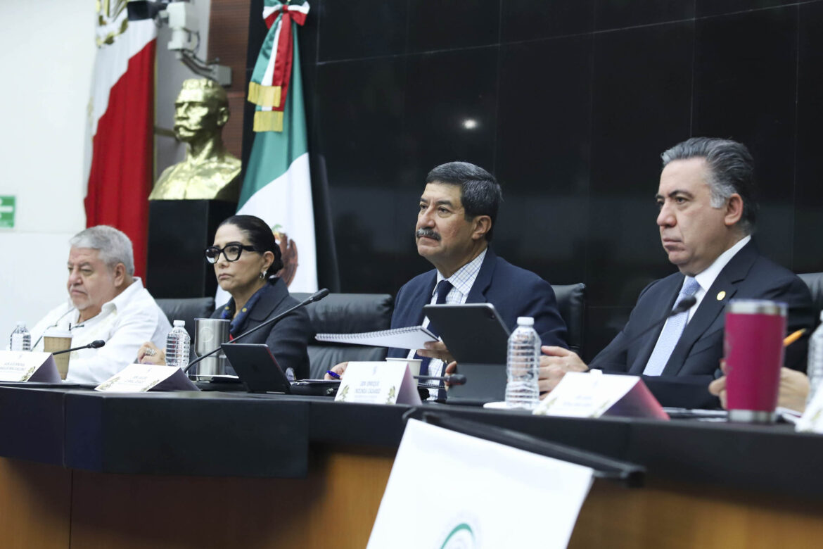 Senado va por dictamen y voto de la reforma al amparo tras dos días de audiencias
