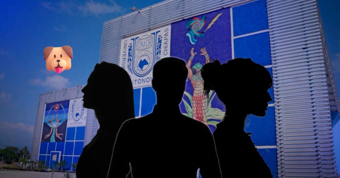 Denuncian estudiantes de veterinaria por muerte de perra callejera en Copainalá