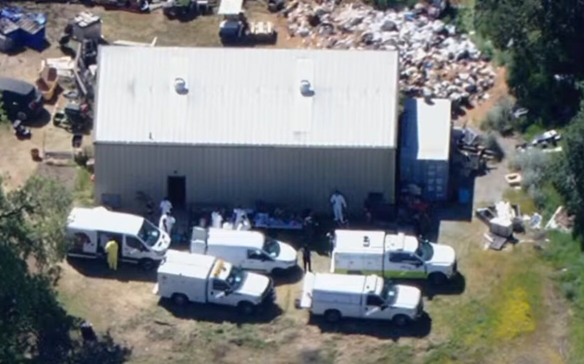 Rescatan más de 300 animales en operativo masivo por crueldad animal en condado de Los Ángeles