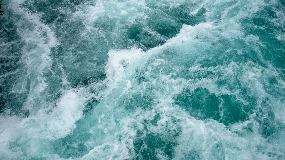 Senadores de Morena corean a Raúl Morón durante visita de Grecia Quiroz al recinto