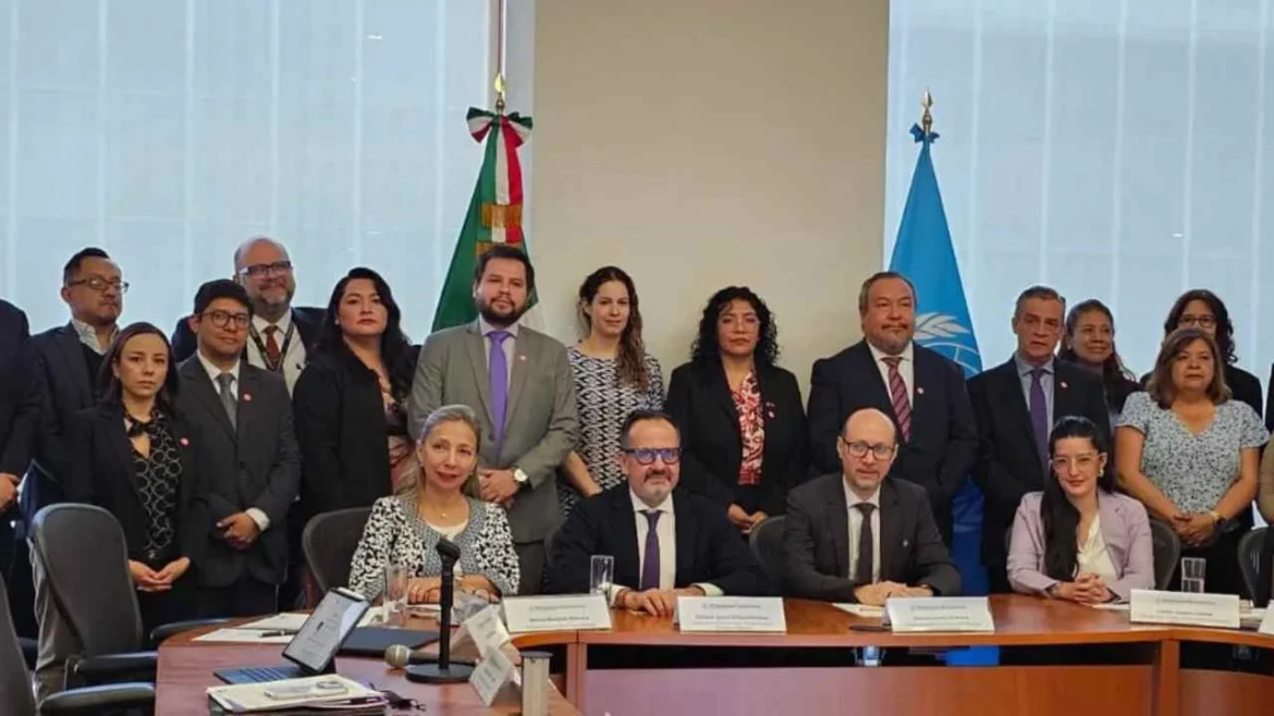 Relator de la ONU alerta sobre crecimiento descontrolado de granjas industriales en México