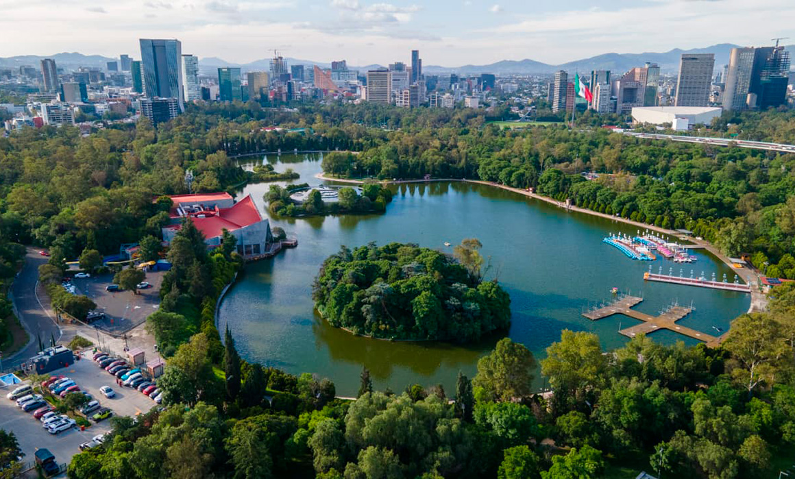 Ciencia y medio ambiente: desde contaminantes en tiburones hasta nuevos hallazgos sobre el poblamiento de América