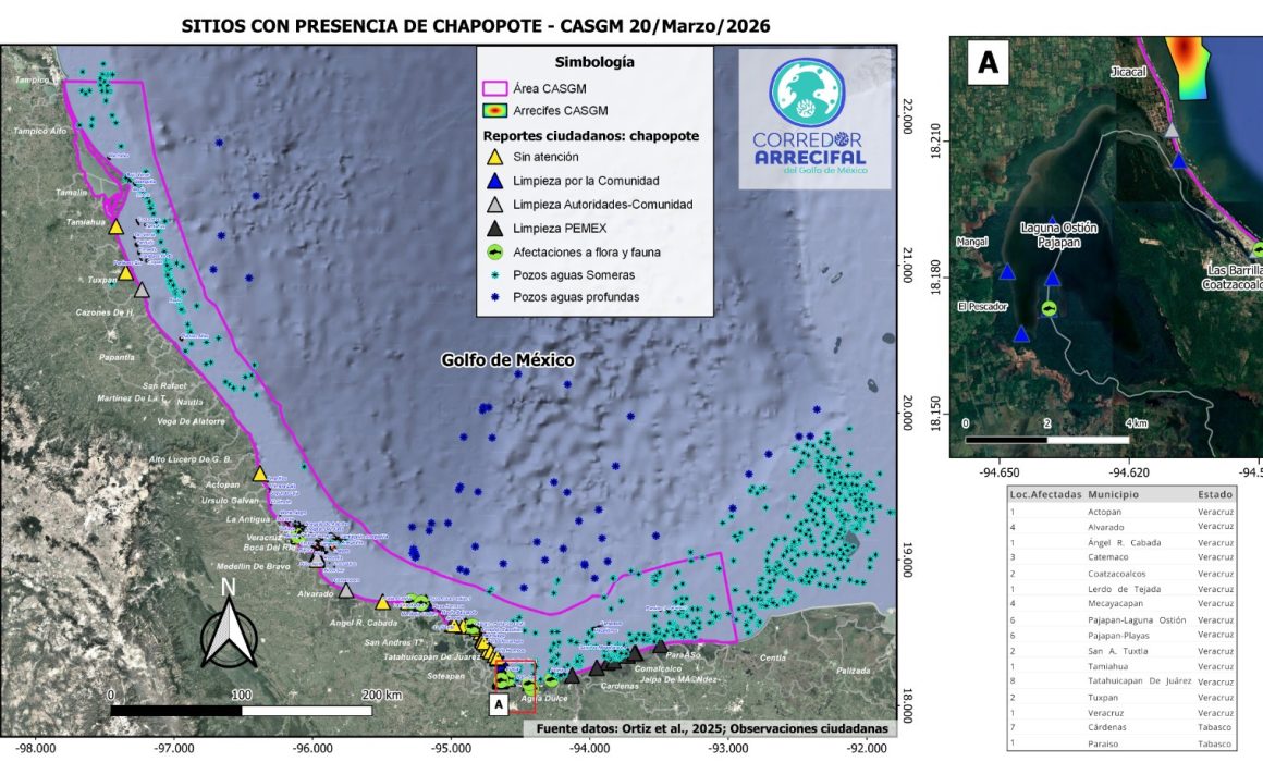 Derrame de hidrocarburo afecta 630 kilómetros de costa en Veracruz y Tabasco