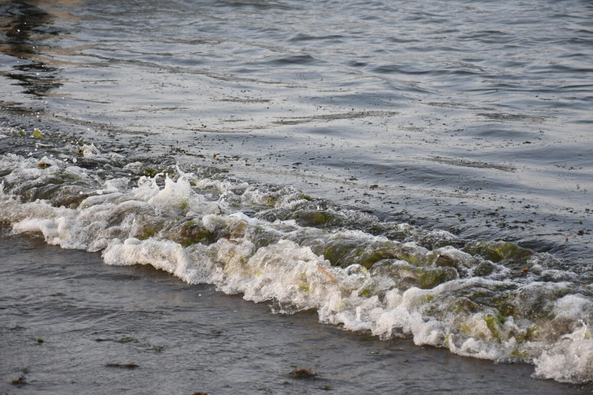 Identifican tres fuentes de contaminación por hidrocarburos en el Golfo de México