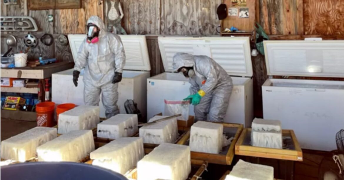 Imputan en EE.UU. a cinco mexicanos por operar narcolaboratorio de metanfetamina en California