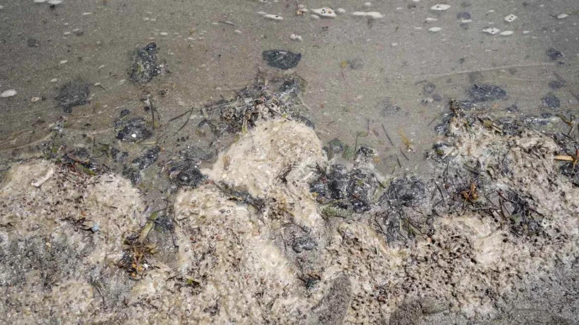 Autoridades reportan recolección de 128 toneladas de residuos tras derrame de petróleo en Veracruz