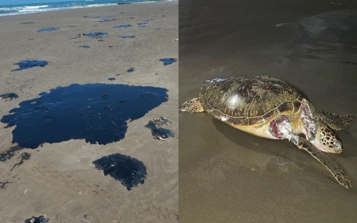 Comunidades indígenas denuncian falta de claridad y riesgos en limpieza por derrame de hidrocarburo en Veracruz