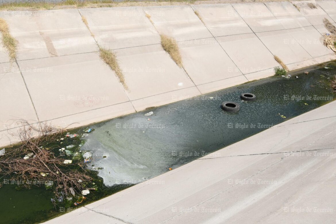 Agenda en La Laguna: denuncian contaminación, avanzan en proyecto de agua y hay adopciones caninas