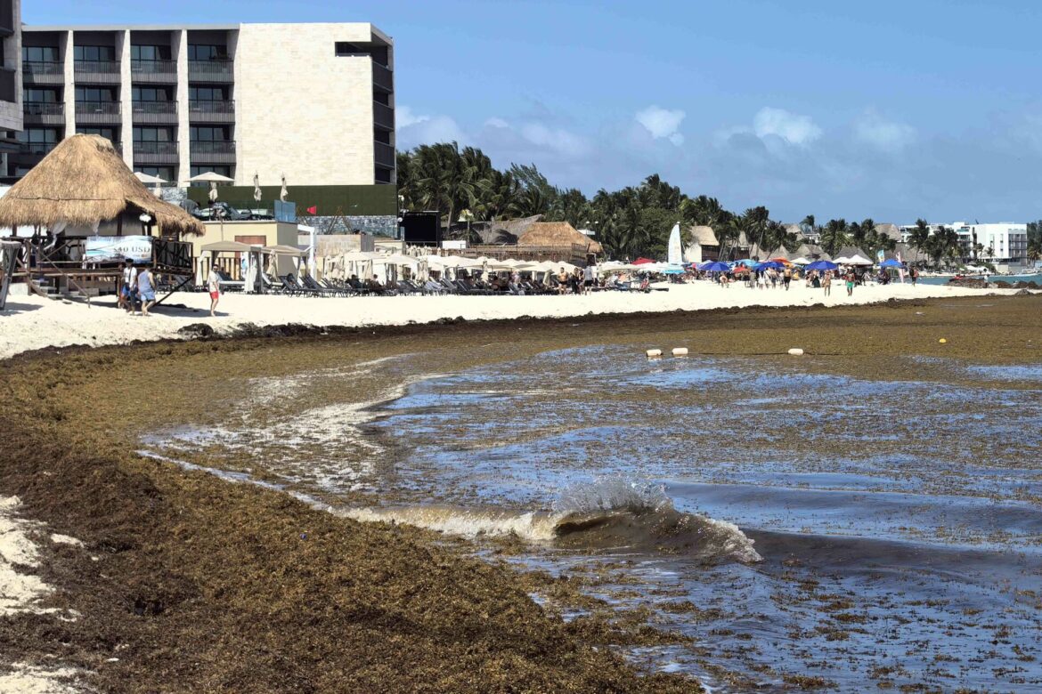 Activan bandera roja en Puerto Escondido por mar de fondo; reportan limpieza en playas de Veracruz y sargazo en Quintana Roo