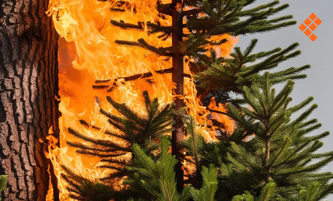 Inicia CDMX campaña contra incendios forestales; reportan fuegos activos en Guerrero y Jalisco