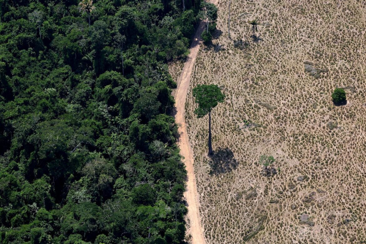 Lula confirma a Alckmin como candidato a vicepresidente y Caiado se lanza como tercera vía