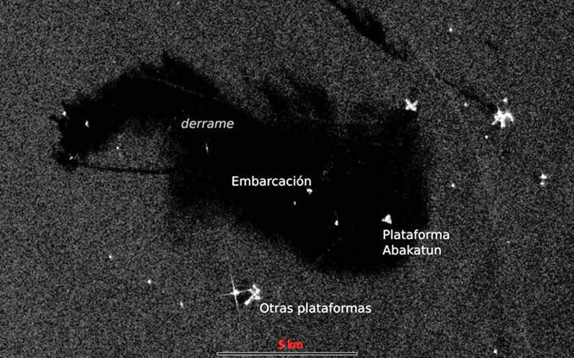 Gobierno y activistas discrepan sobre origen y alcance del derrame de hidrocarburos en el Golfo