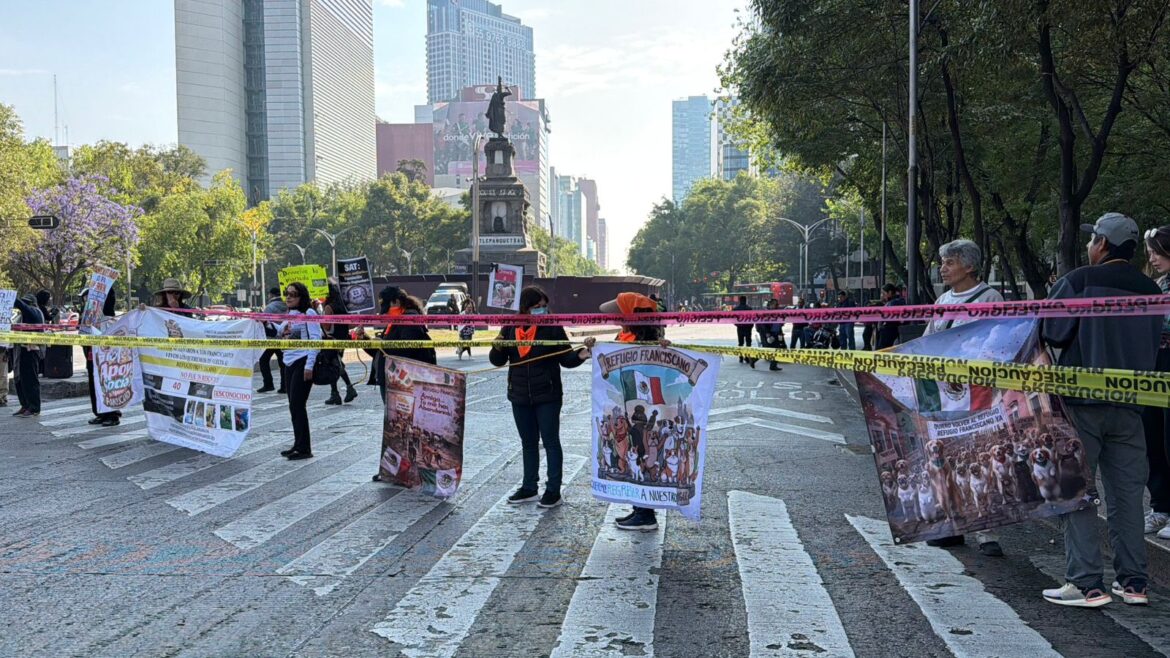 Activistas bloquean Paseo de la Reforma para exigir regreso de perros del Refugio Franciscano