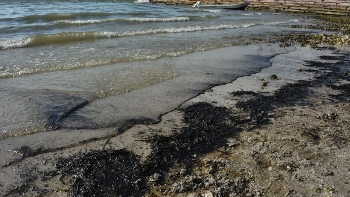 Autoridades limpian 1,300 kilómetros en Golfo de México mientras investigan origen del crudo