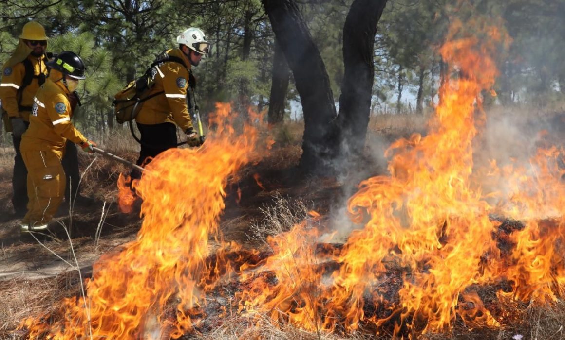 México registra 2,332 incendios forestales en los primeros meses de 2026