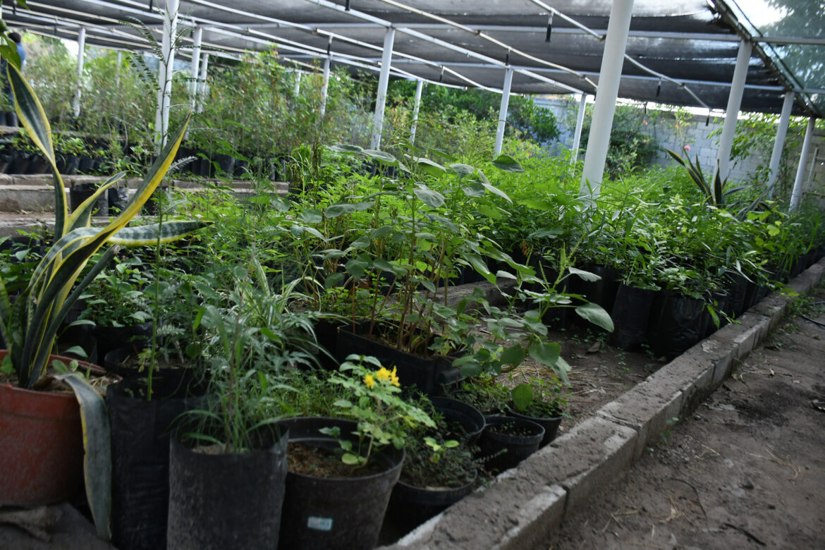 Aprueba Cabildo de Torreón estímulos fiscales del 70 por ciento y trabajadores protestan por pagos