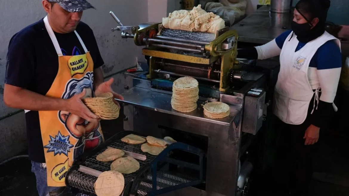 Anuncia Consejo Nacional de la Tortilla incremento de hasta 4 pesos por kilo en la zona metropolitana