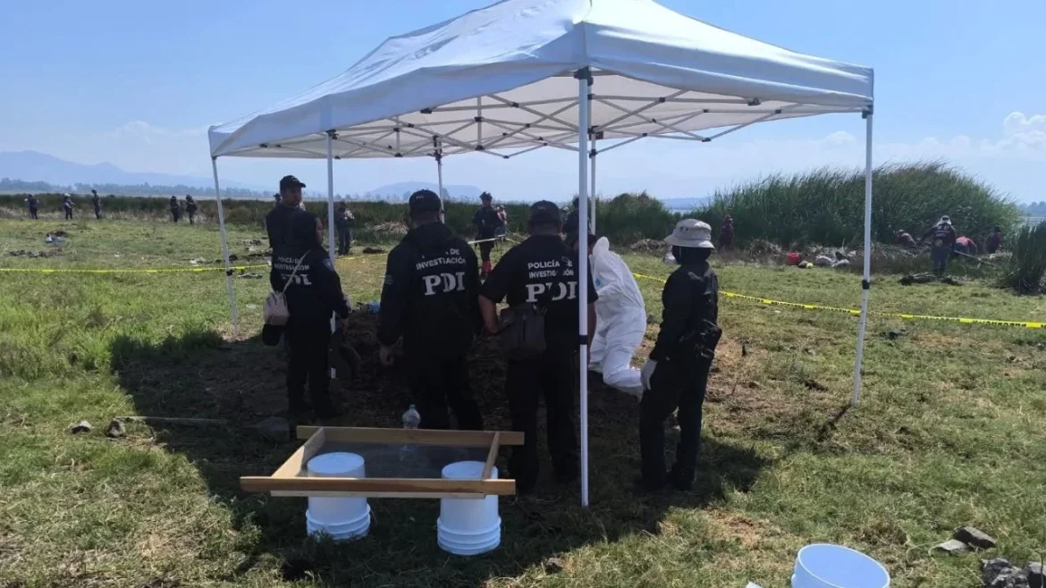 Hallan 219 restos humanos en CDMX; familias exigen justicia tras jornada de búsqueda