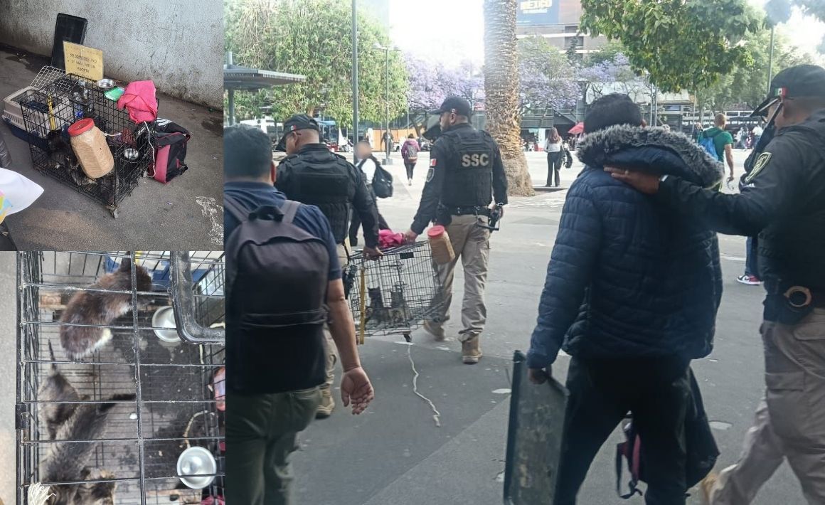 Compendio de incidentes violentos: ataque en tren alemán, homicidios en Durango y Guerrero, y operativos en CDMX