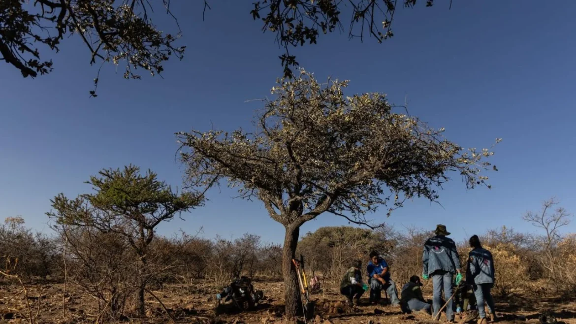 Rechaza presidente del Comité ONU descalificaciones del gobierno sobre informe de desapariciones