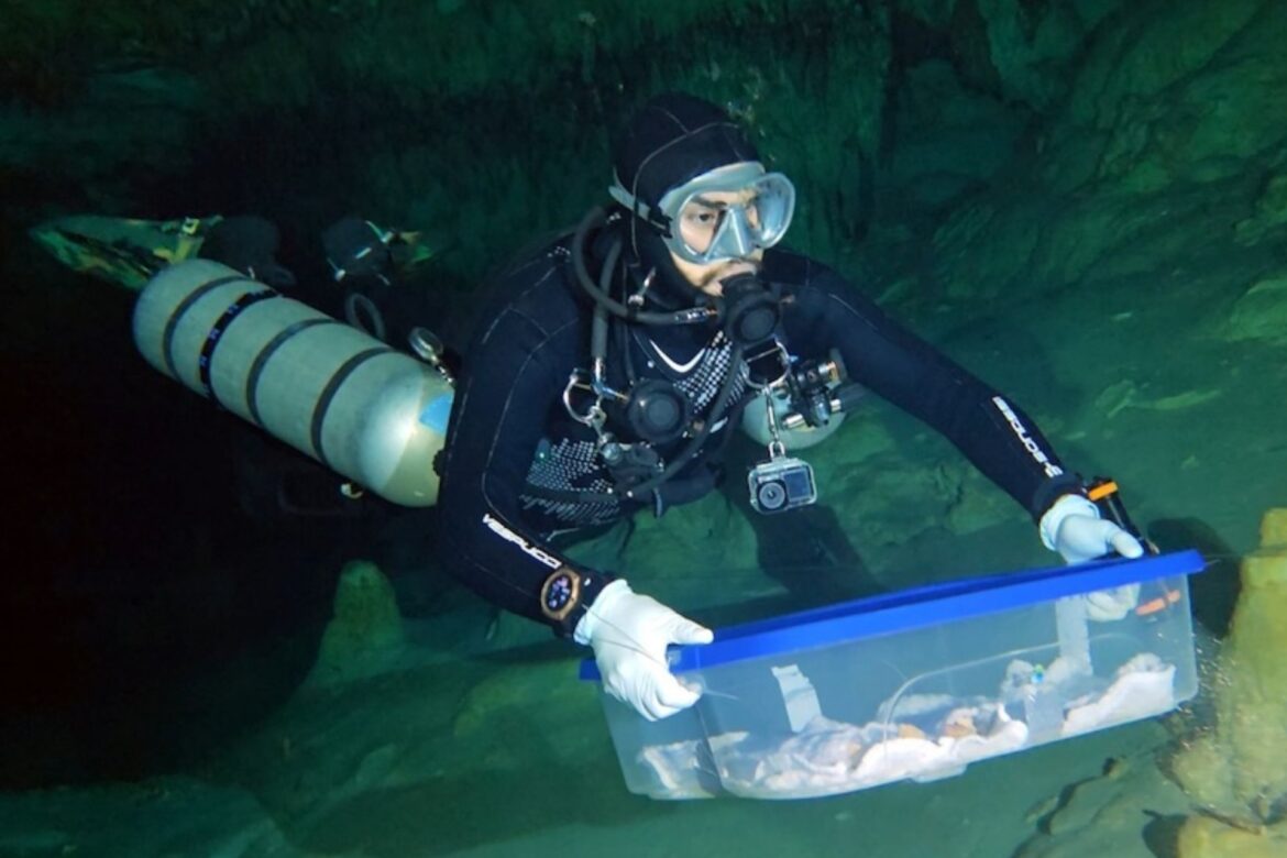 INAH traslada fósiles humanos de Sac Actun para estudios de antropología física