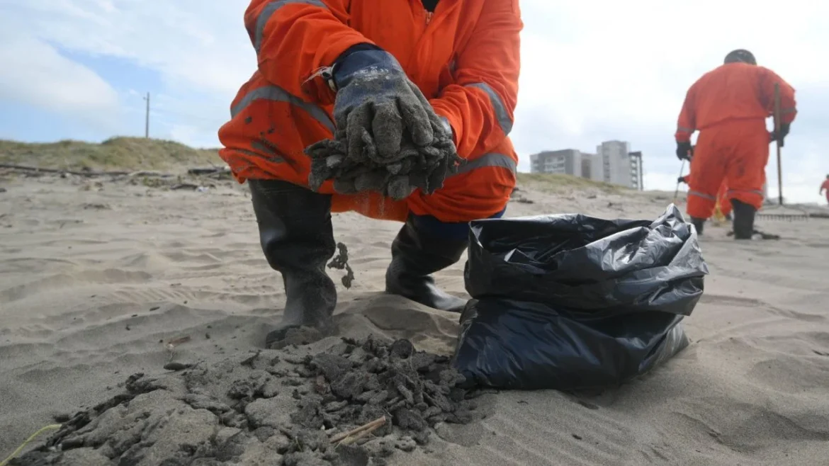 Recolectan más de 6 mil toneladas de hidrocarburo en playas del Golfo de México