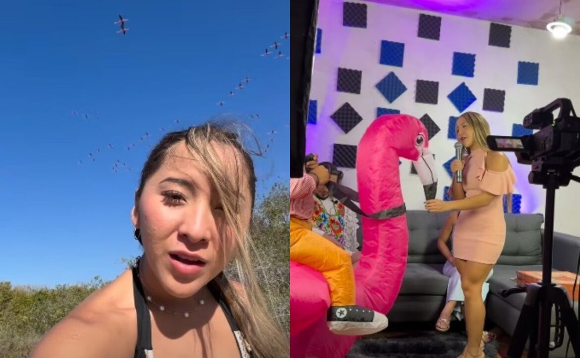 Influencer ‘la Yuca’ se disculpa tras alterar flamencos en Sisal con música