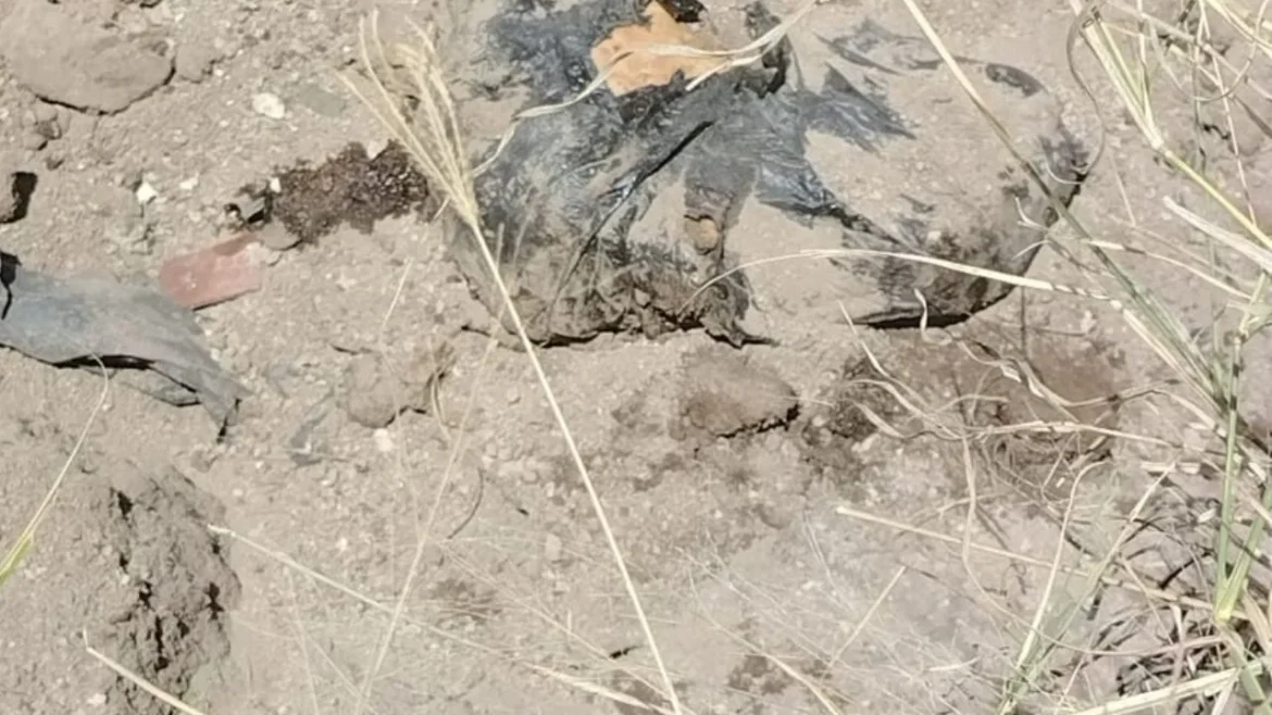 Colectivo halla fosa clandestina con restos óseos en fraccionamiento de Tlajomulco