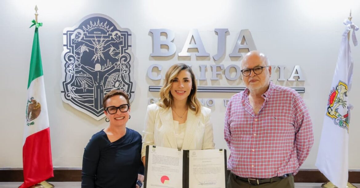 Gobernadora de Baja California presenta iniciativa de ley para proteger industria vitivinícola