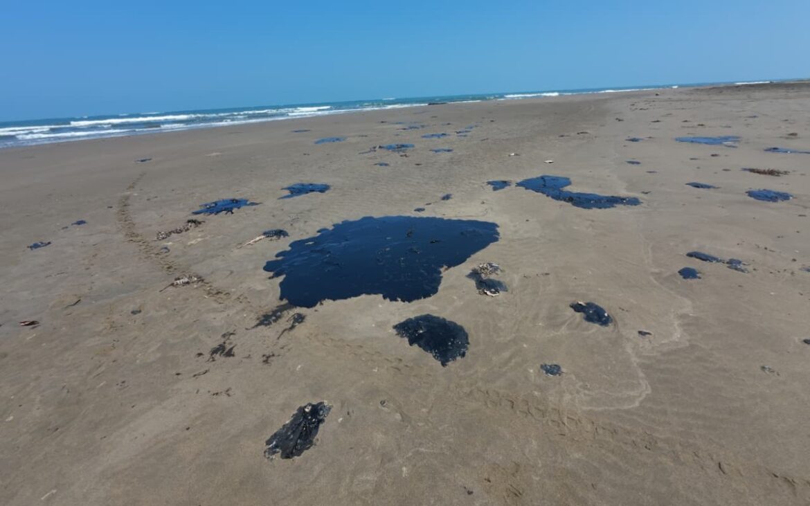 Gobierno anuncia apoyo a pescadores por derrame en el Golfo mientras playas reportan alta afluencia