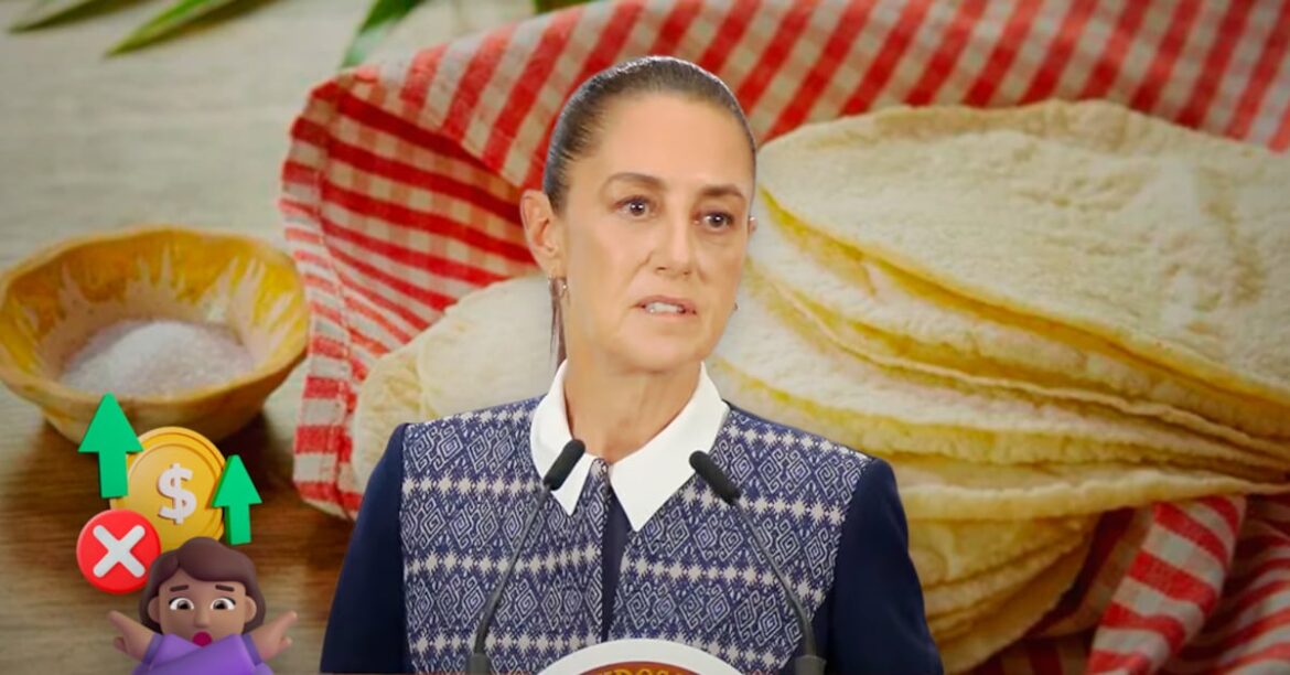 Sheinbaum niega alza en tortilla; tortilleros advierten incremento de hasta 4 pesos
