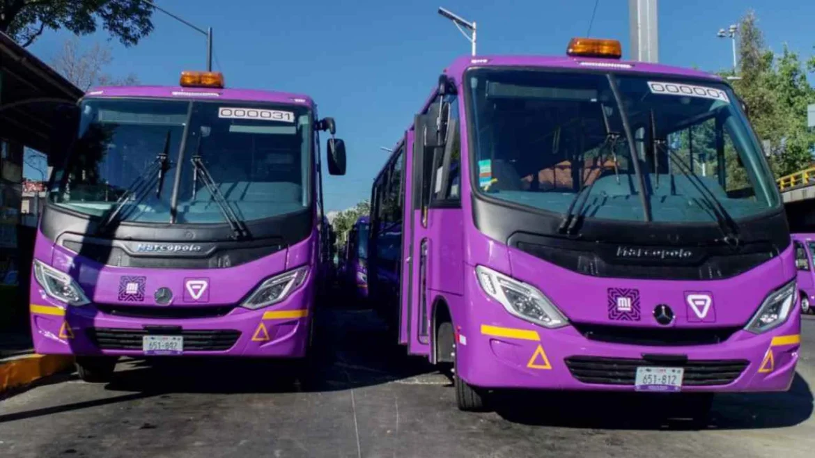 Transportistas y agricultores convocan paro nacional con bloqueos para el 6 de abril; Segob dice que no hay motivo