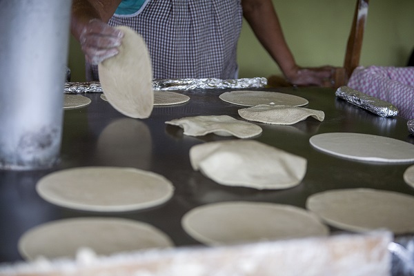 Gobierno y productores discrepan sobre posible aumento en precio de la tortilla