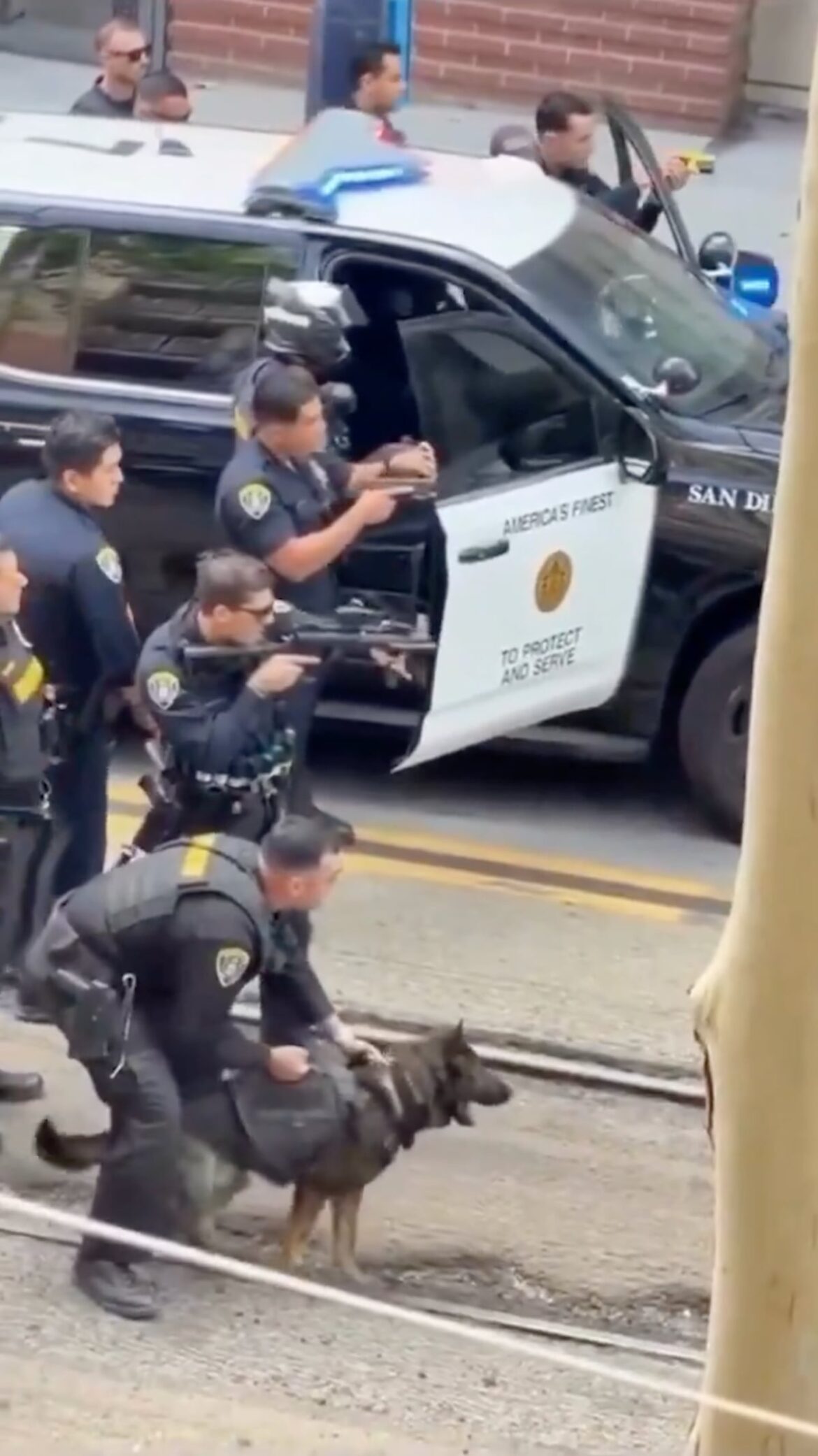 Un perro policía ayuda en el arresto de un hombre en San Diego