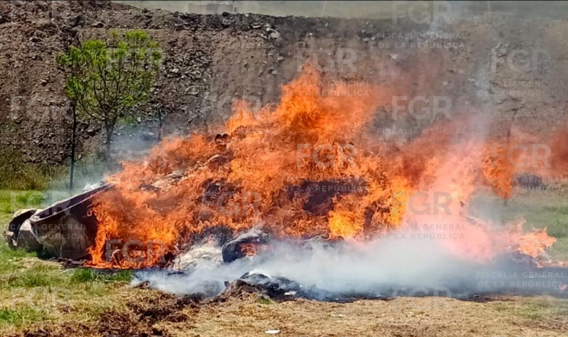 FGR incinera más de tres toneladas de drogas y dos mil litros de metanfetamina en Charo