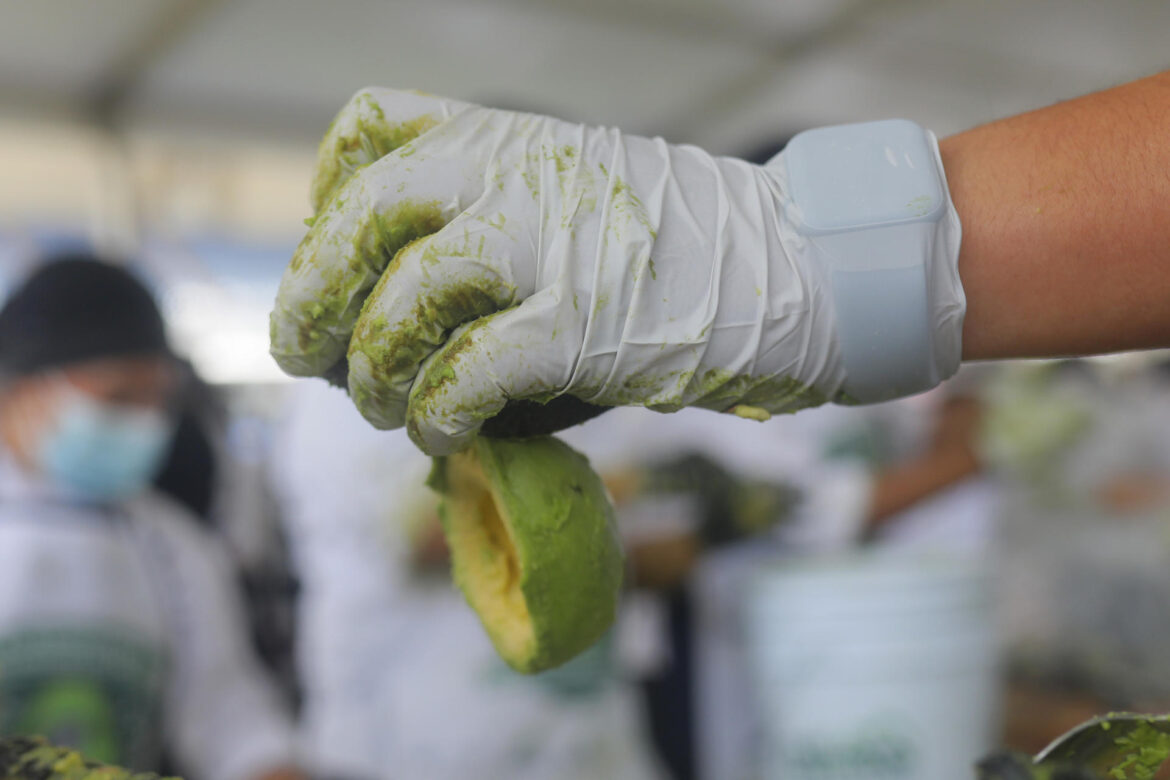 Jalisco establece Récord Guinness del guacamole más grande del mundo