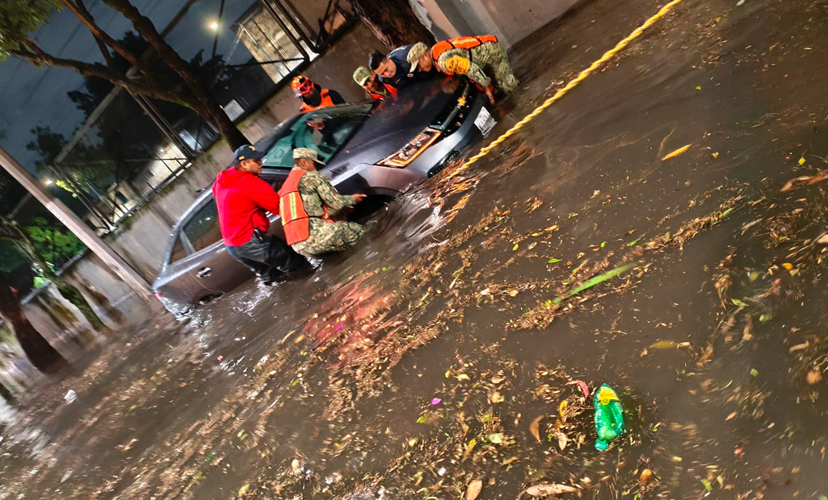 Caen 20 árboles en seis alcaldías de la CDMX por lluvias; SGIRPC señala a la basura como causa del 50% de inundaciones