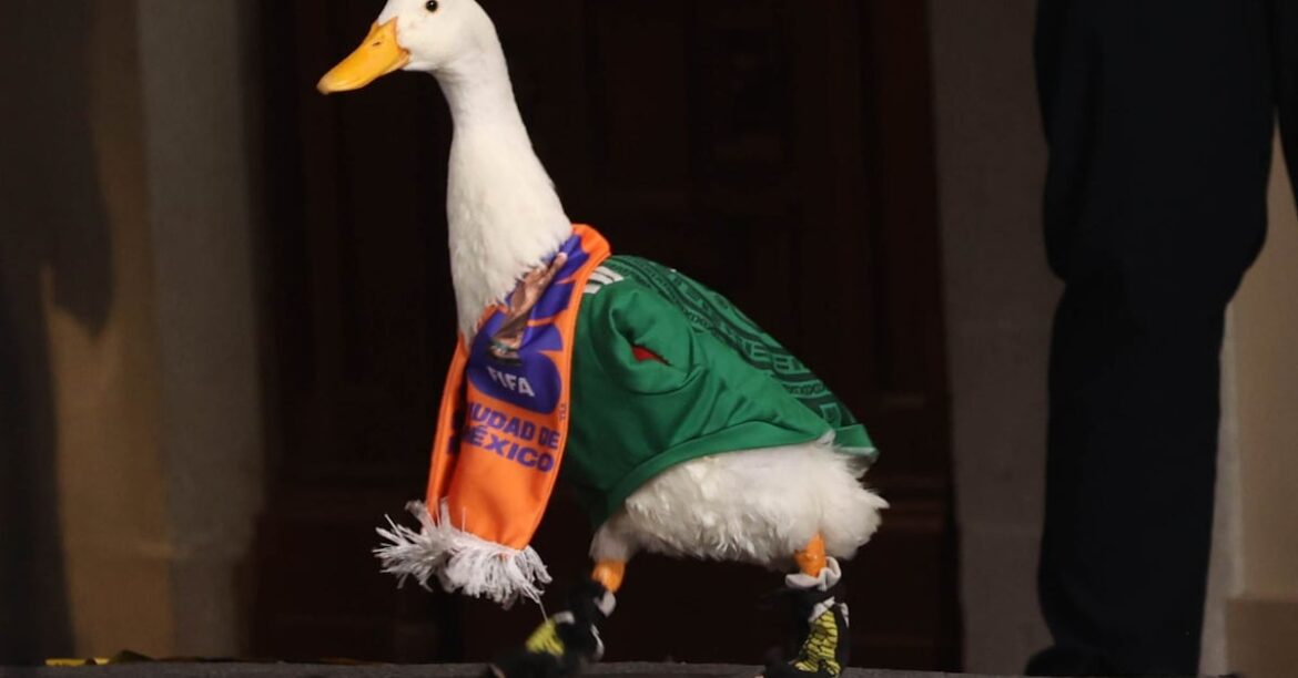 El pato Merlín asiste a La Mañanera y registrará su imagen ante el IMPI