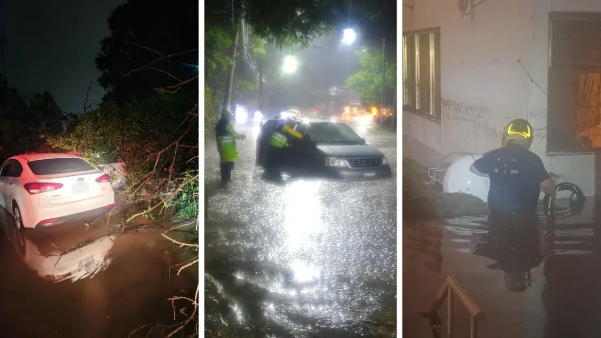 Alerta púrpura en Cuajimalpa por lluvias y granizo deja inundaciones y vehículos aplastados
