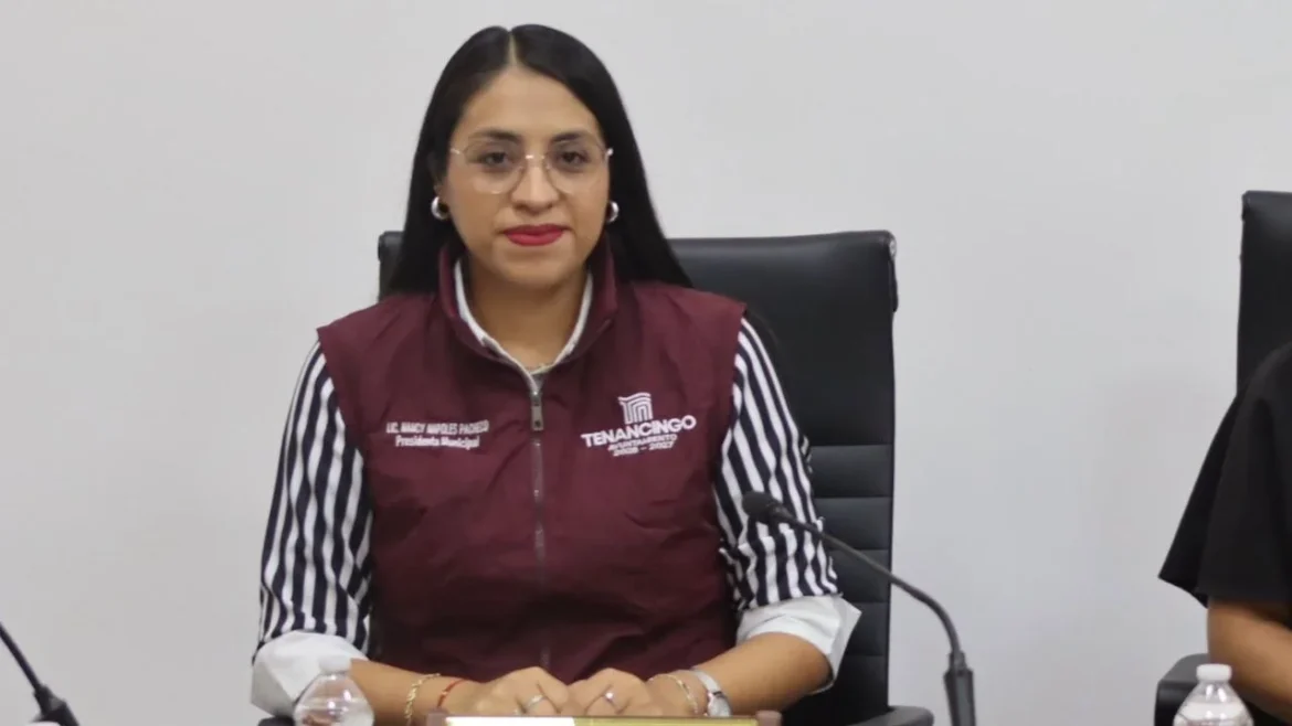PAN exige investigar a la alcaldesa morenista Nancy Nápoles