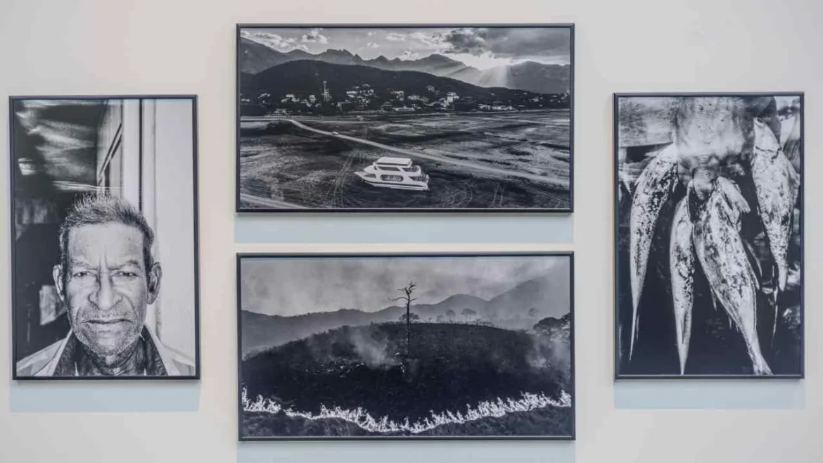 Museo Franz Mayer exhibe World Press Photo 2026 y ‘El Archivo’ por aniversarios