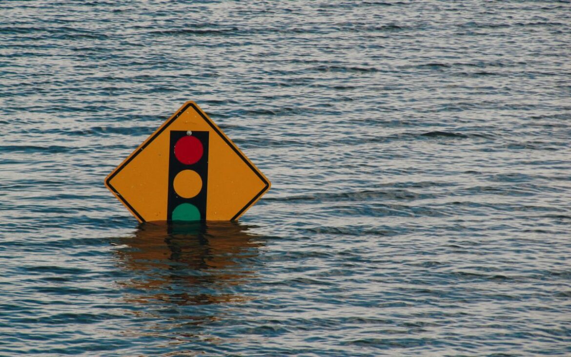 Descubren cementerio de ballenas en el Índico y alertan sobre aumento de inundaciones por el nivel del mar