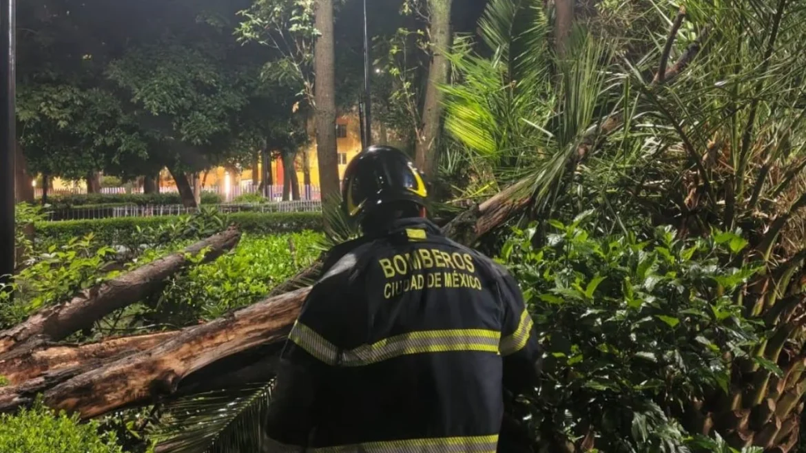 Lluvias por tormenta tropical Boris dejan daños en ocho municipios de Guerrero y afectaciones en CDMX
